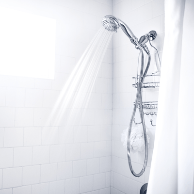 Sen vòi - Daisan Store