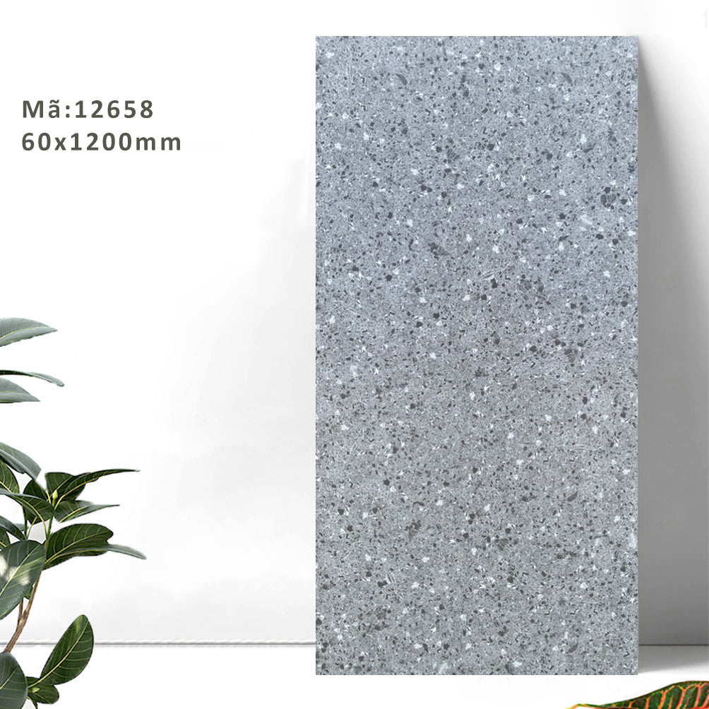 Gạch Terrazzo 600x1200mm 12658