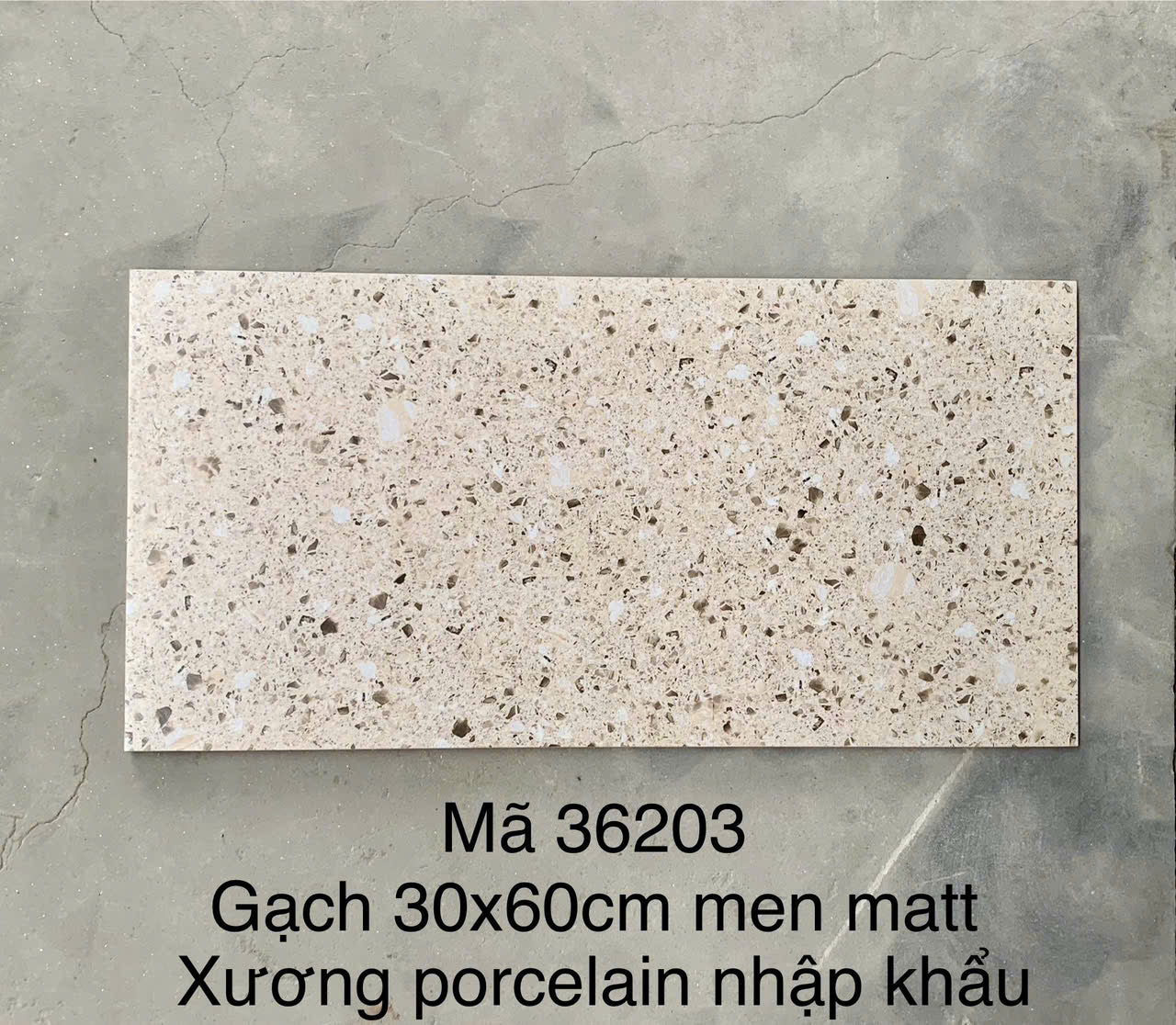 Gạch Terrazo porcelain men matt 300x600mm
