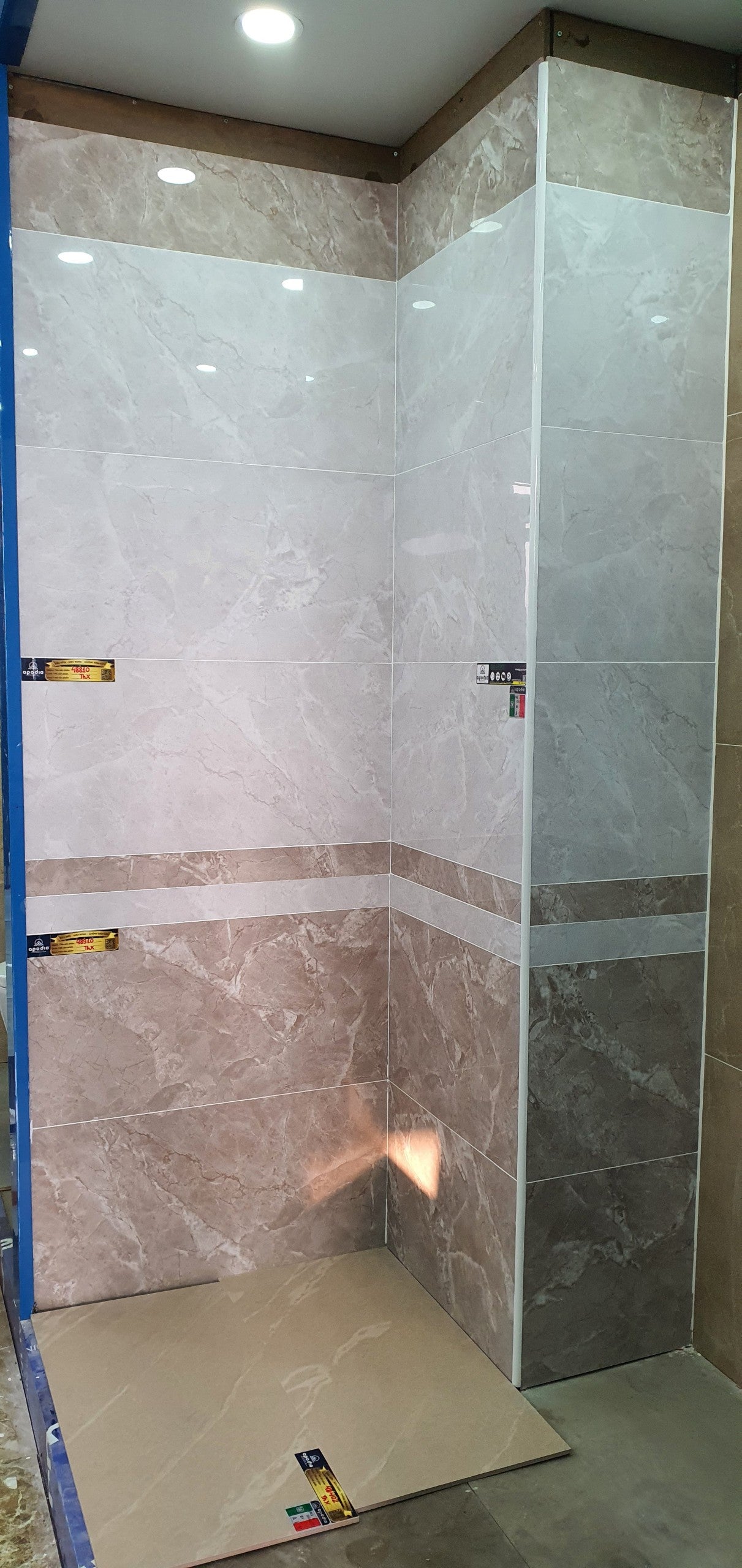 Gạch ốp lát Apodio 48810 48910D 48910