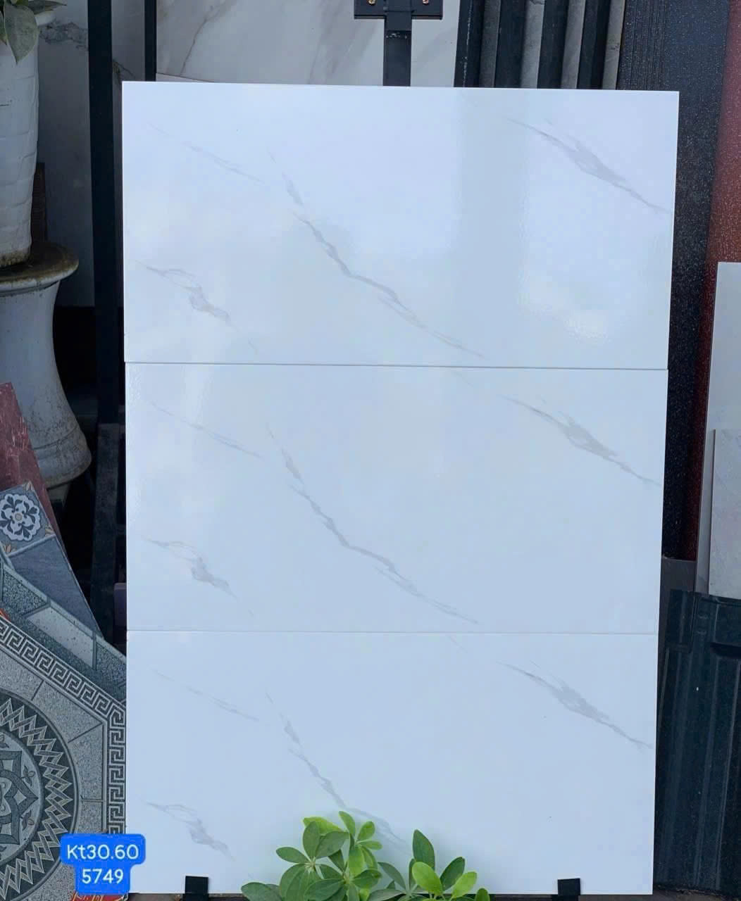 Gạch ốp lát trắng bóng vân mây KT 300x600mm mã 5749