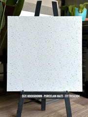 Gạch terazo TK 56304 KT 60x60cm