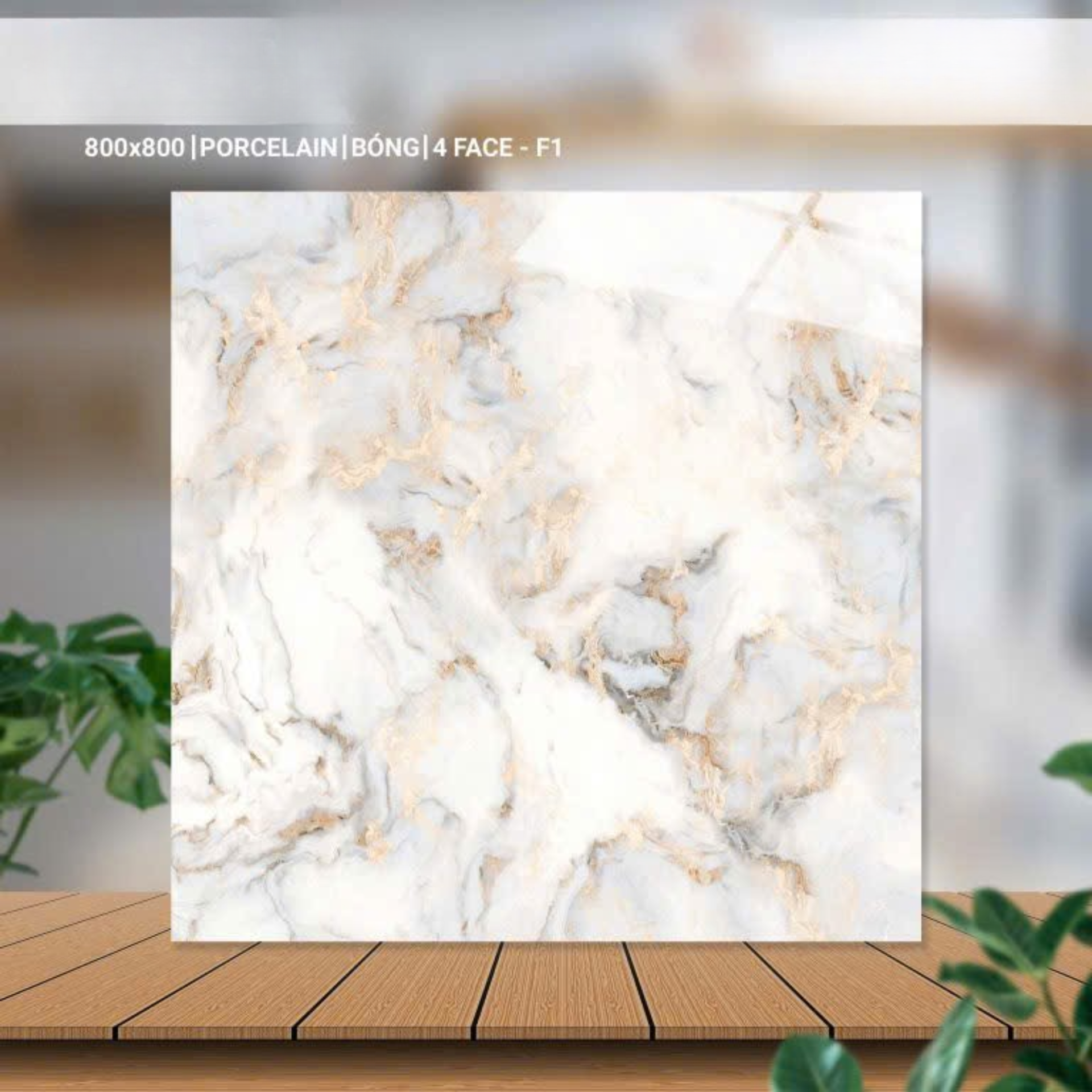 Gạch ốp lát 800x800mm mã 80073