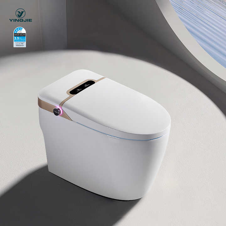 Bồn cầu thông minh American Electric Inodoro Ceramic Sanitary Wc xả nước tự động bằng xi phông