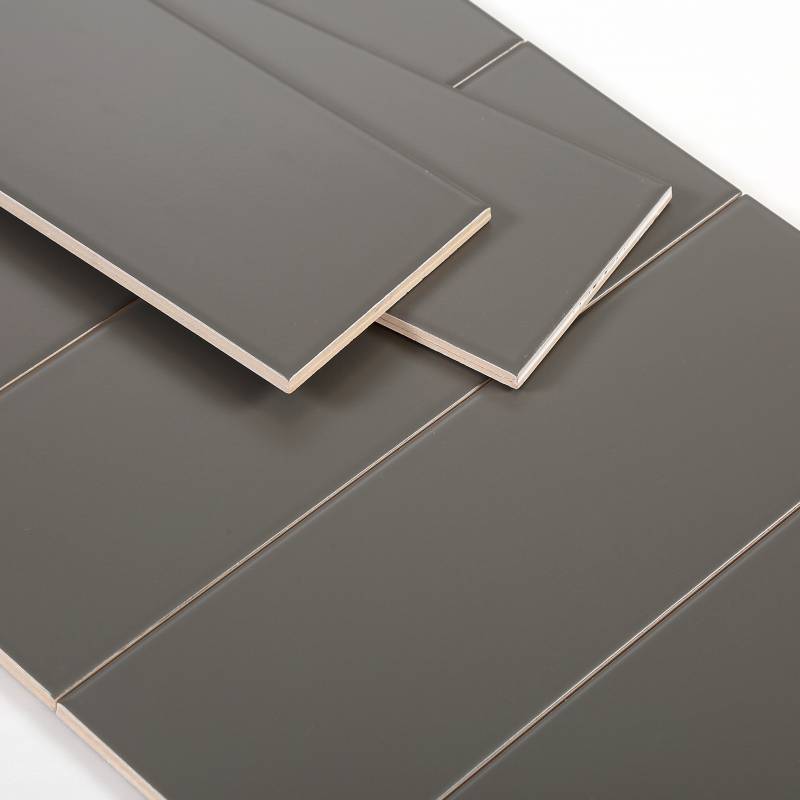 Gạch thẻ xám đậm mờ phẳng 100x300mm M1303Y