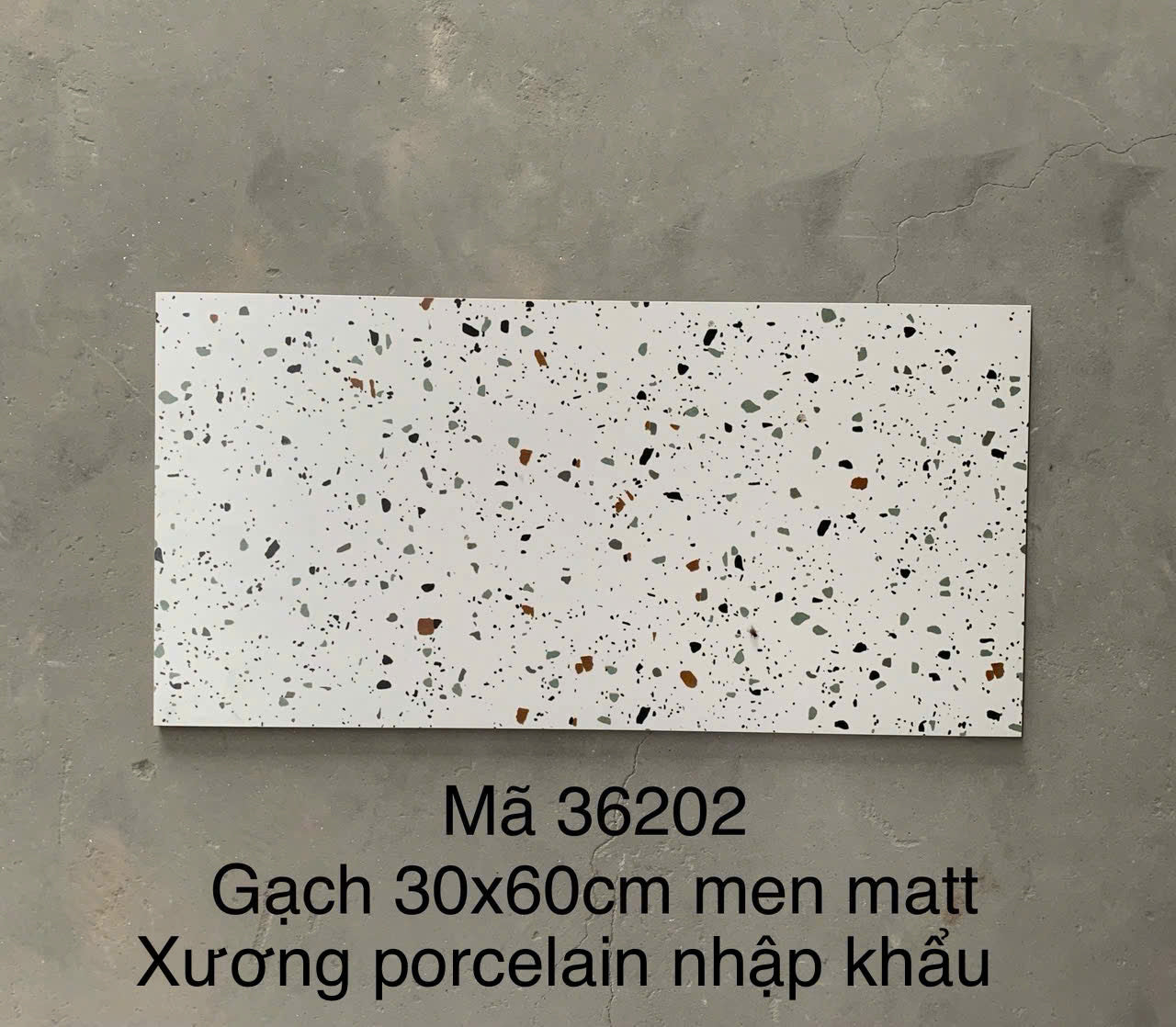 Gạch Terrazo porcelain men matt 300x600mm (1h/1.44m/8v) 36202