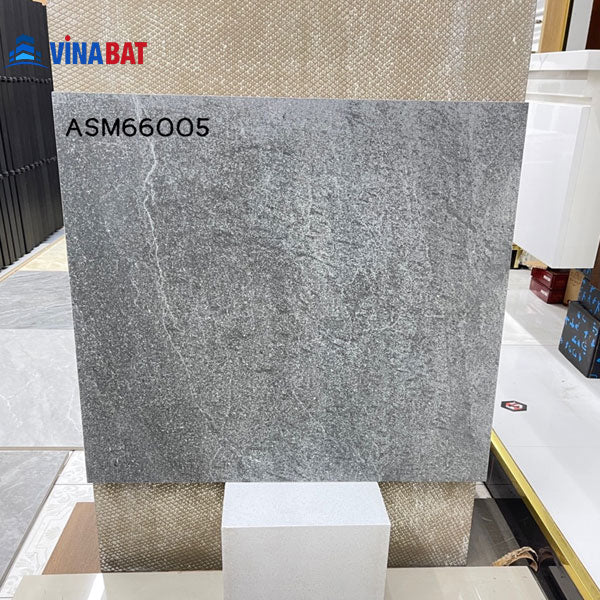 Gạch ốp lát 60x60cm men matt xám đậm