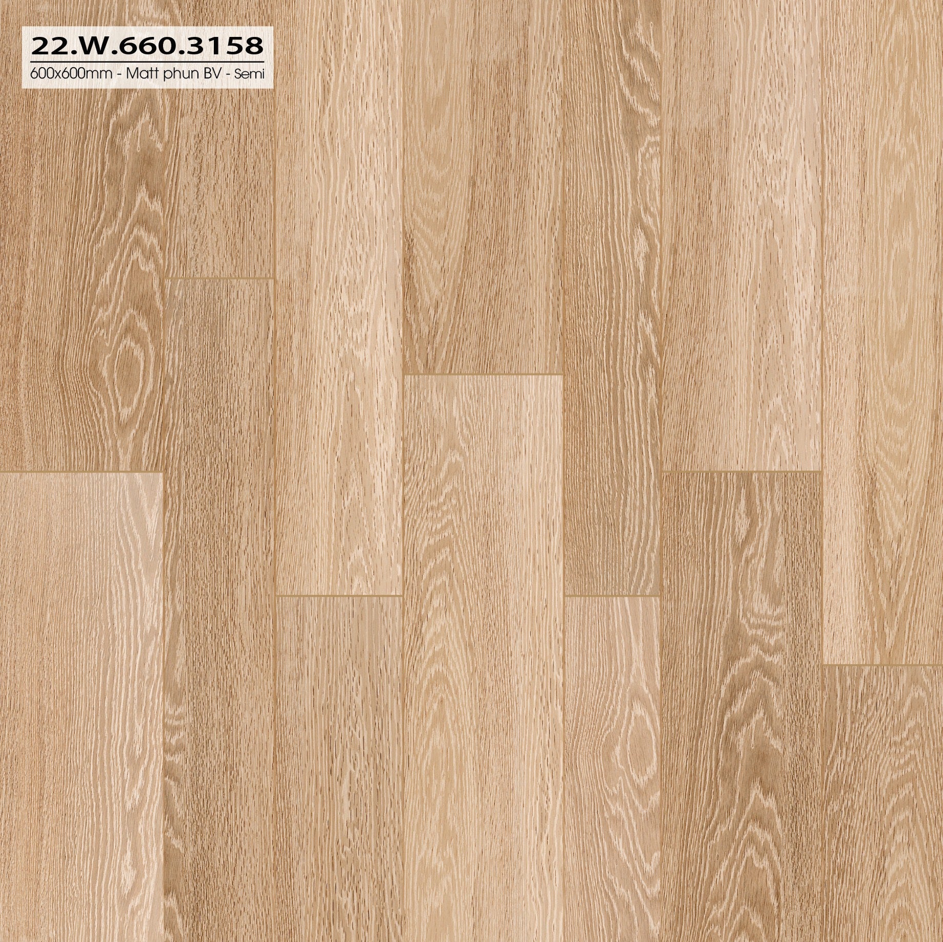 Gạch 600x600mm matt  xương đá 22W660.3158