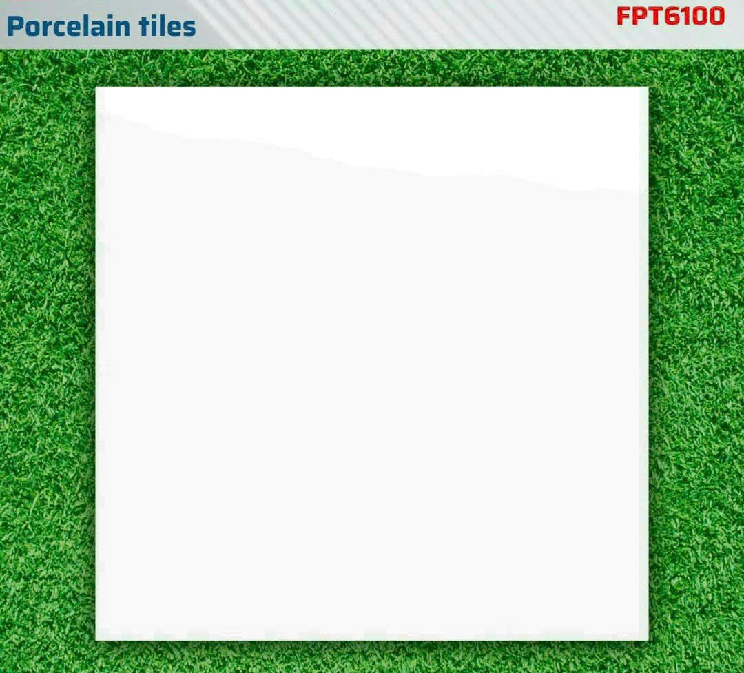 Gạch 600x600mm trắng bóng FPT6100 - Daisan Store