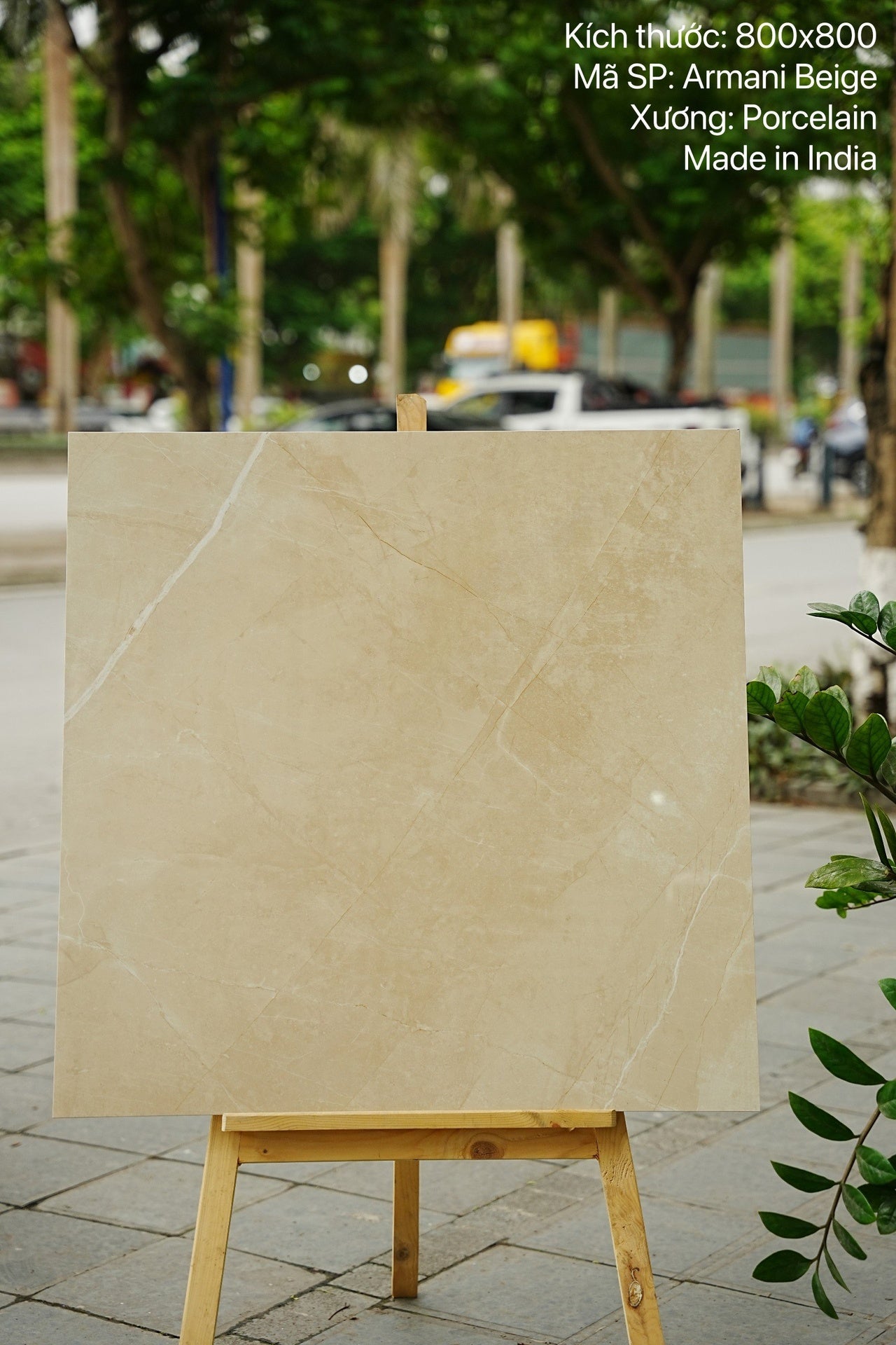 Gạch 80x80 cao cấp nhập khẩu Ấn Độ Armani Beige - Daisan Store