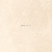 Gạch Ấn Độ CSI88196 - Daisan Store