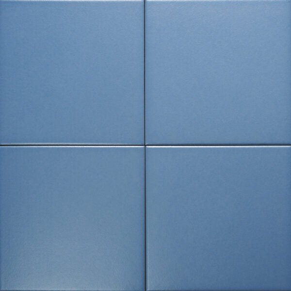 Gạch Bông F2205 - Daisan Store