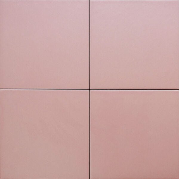 Gạch Bông F2211 - Daisan Store