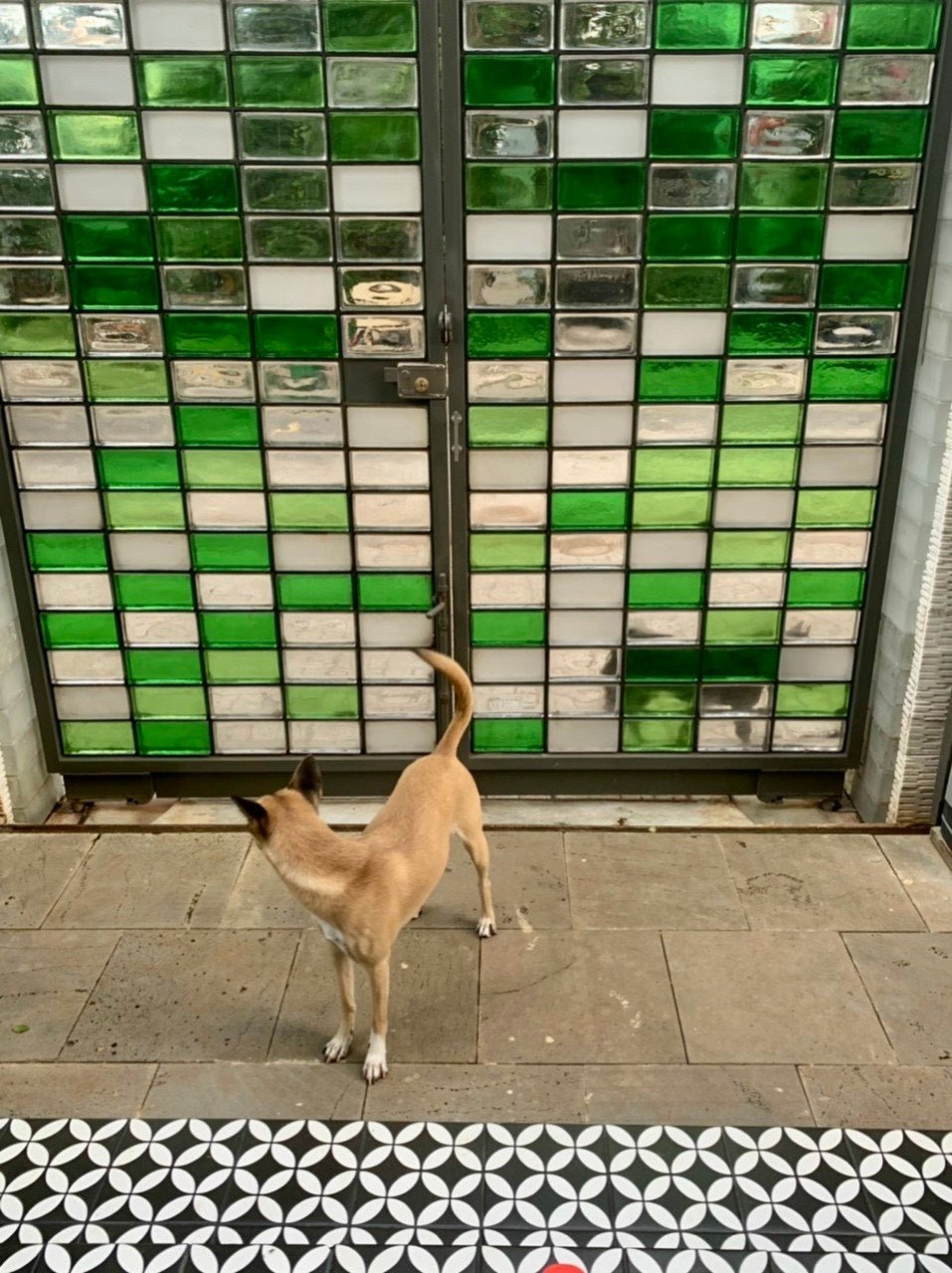 GẠCH KÍNH KHỐI ĐẶC S7 - Daisan Store