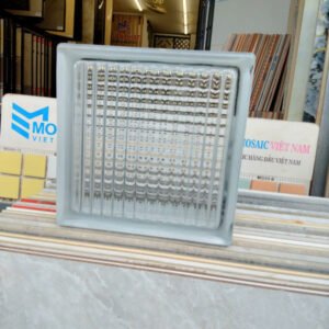 Gạch kính sọc đũa Đồng Tâm 19x19x9.5cm 9501 - Daisan Store