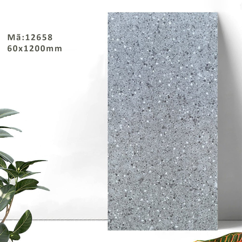 Gạch Terrazzo 600x1200mm 12658 - Daisan Store
