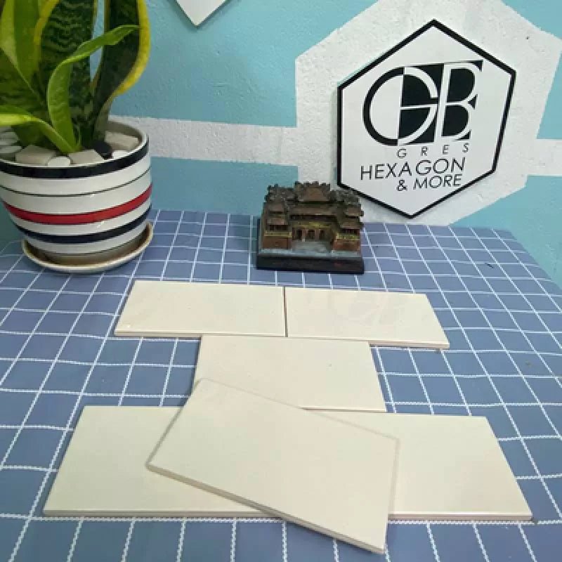 Gạch thẻ xương bóng phẳng KT 75x150mm mã STA75151 - Daisan Store