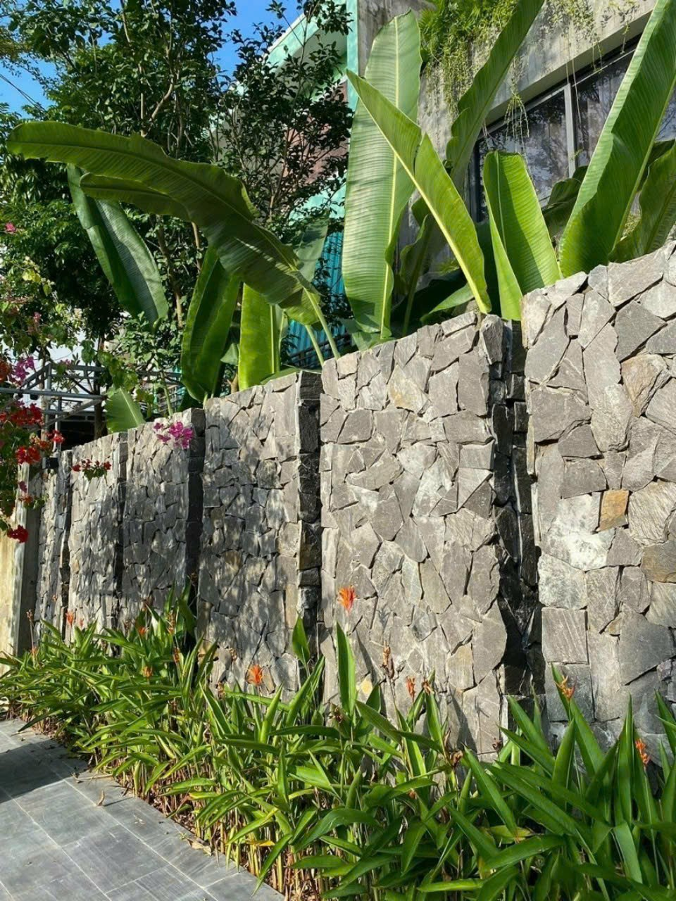 Đá chẻ bao xanh
