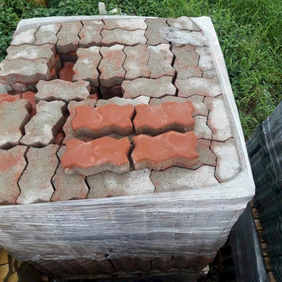 Gạch con sâu nhám xám DS0040