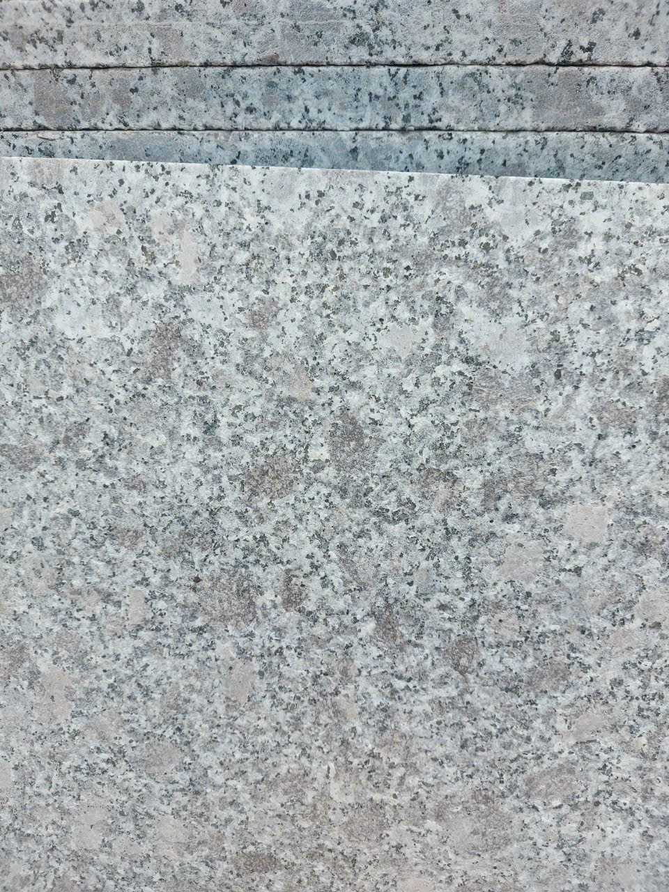 Tím hoa cà khò 30x60x1,8