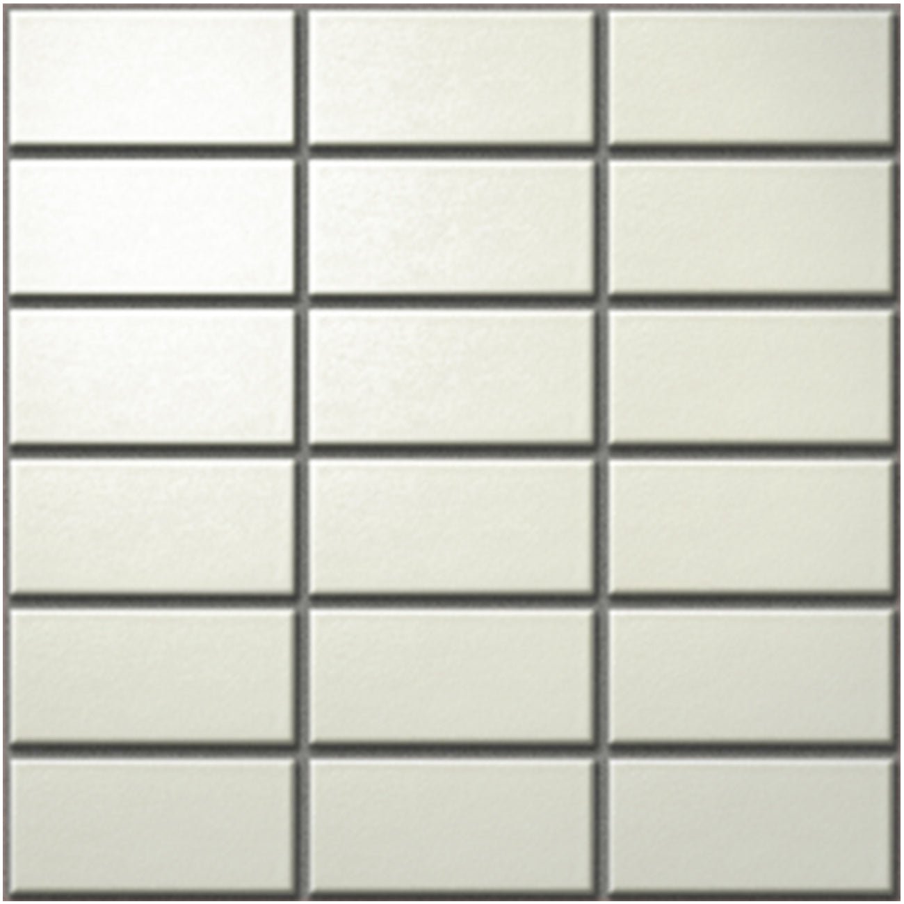 SLC - SHIJYU LUSTER COLOR - Daisan Store