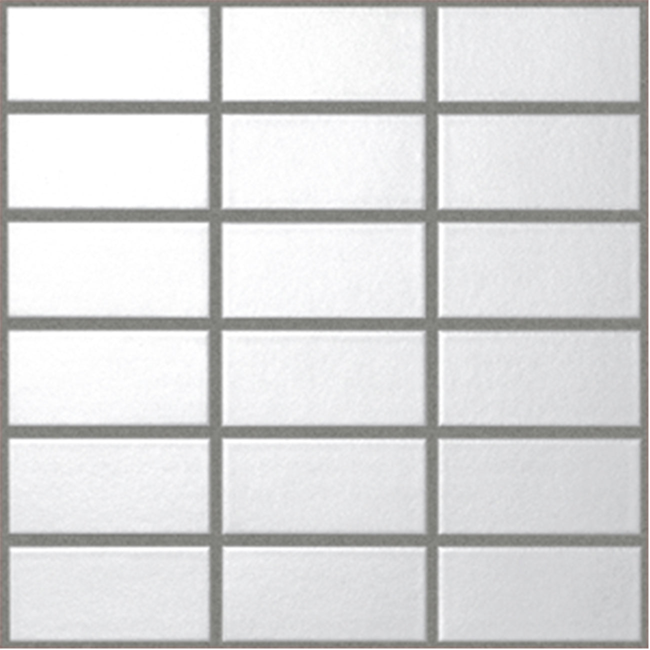 SLC-SHIJYU LUSTER COLOR