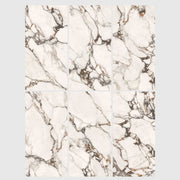 Gạch Porcelain Chất lượng cao Sang trọng 600X1200mm Hiện đại, Ánh sáng dịu