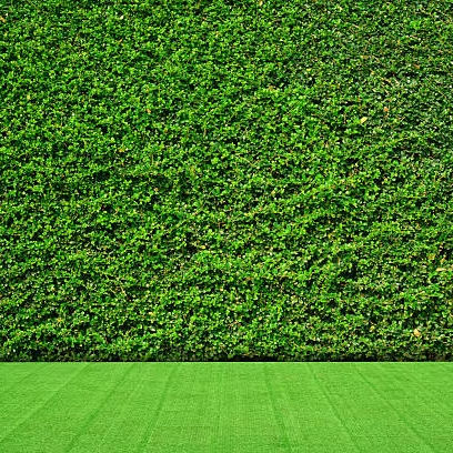 DBDMC Cỏ nhân tạo cảnh quan thân thiện môi trường, dùng cho bóng đá, golf