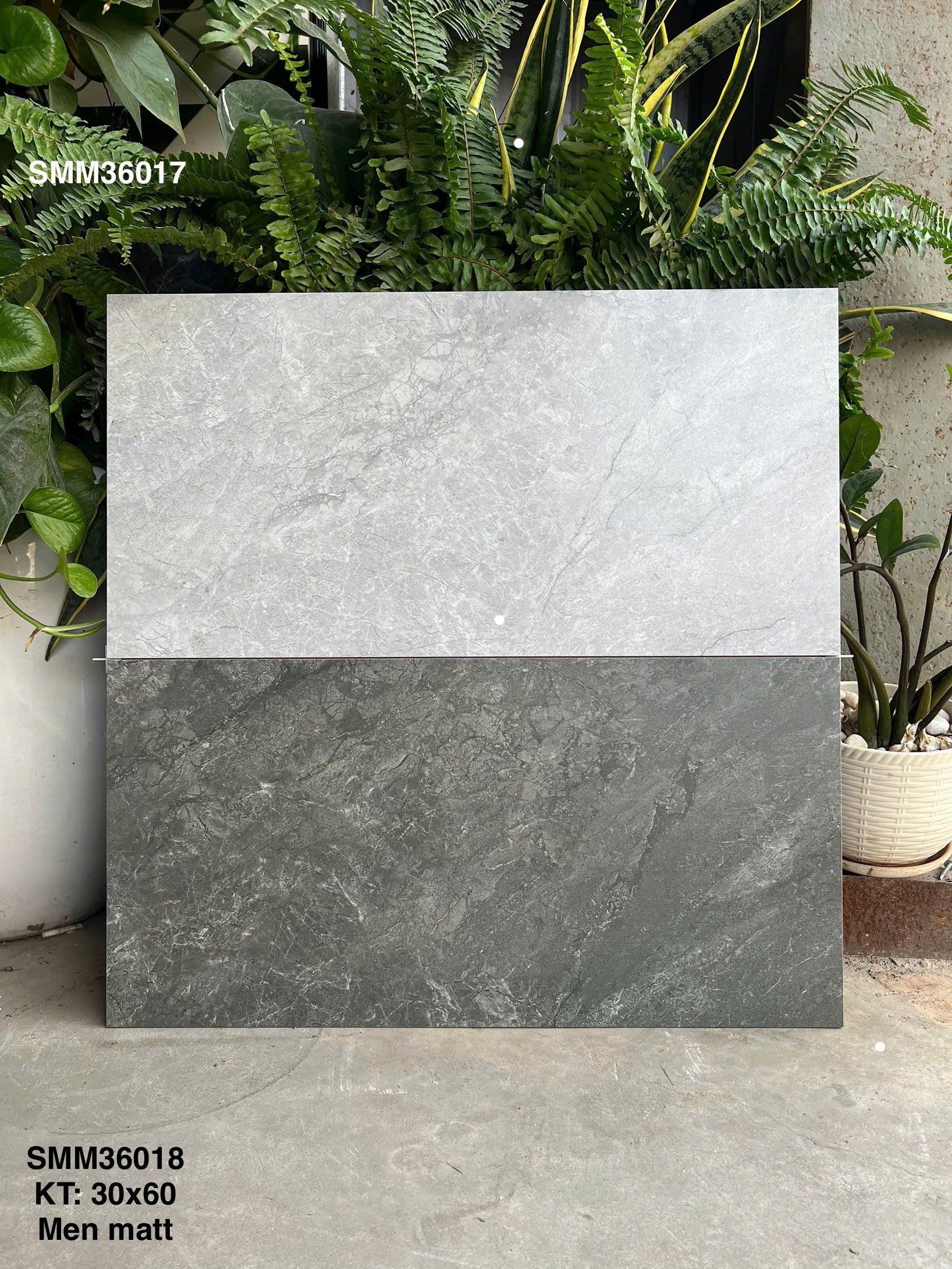 Gạch men matt 300x600mm mã SMM-36017