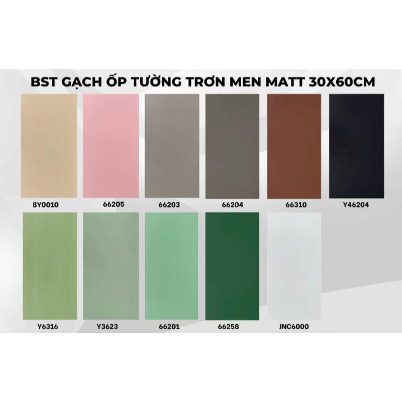 Gạch ốp tường 300x600mm 66203
