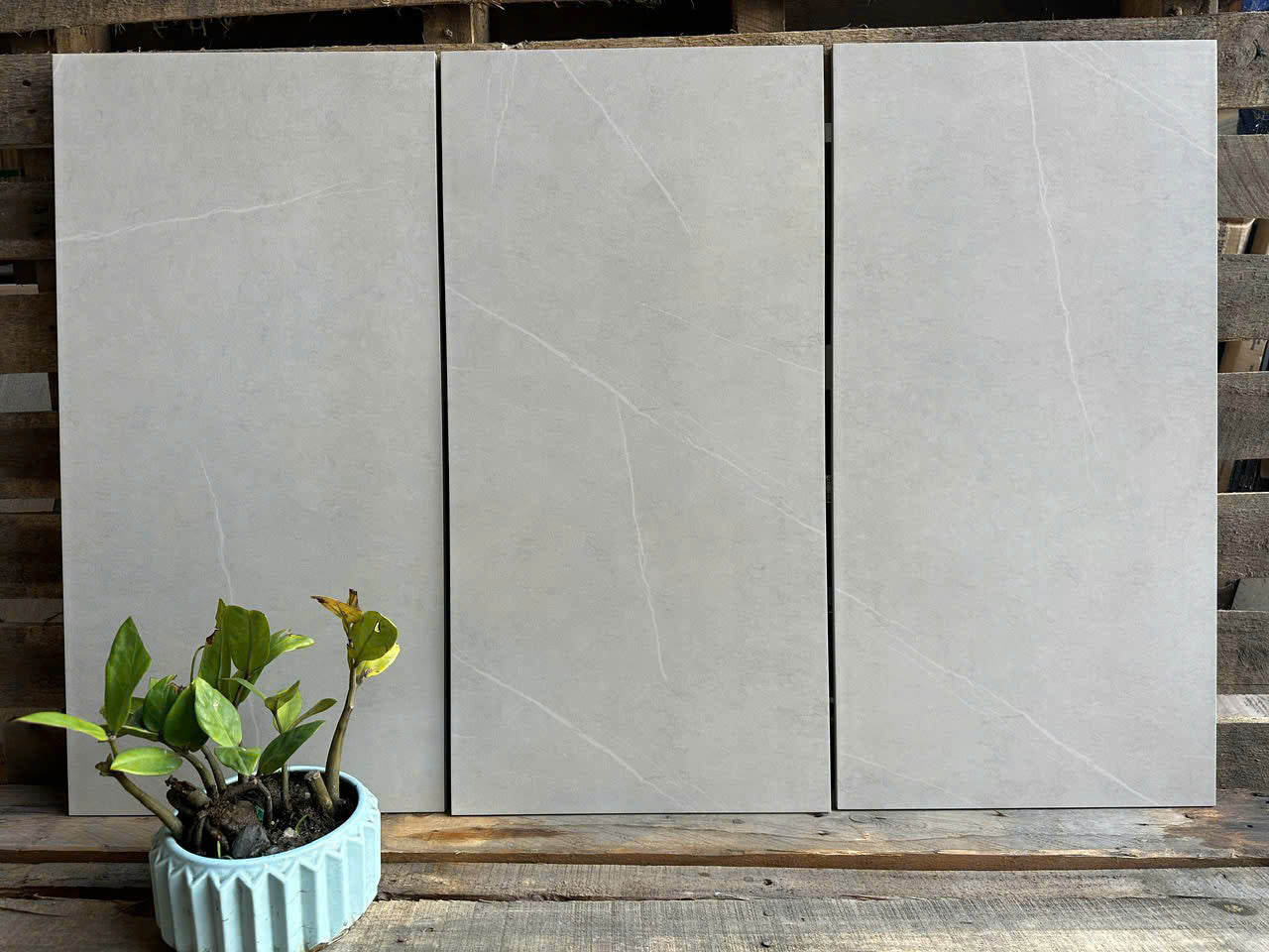 Gạch 30x60 mã Thịnh Vượng F02
