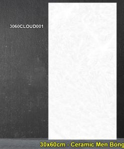 Gạch Ốp Lát 30x60cm Đồng Tâm 3060CLOUD001
