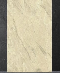 Gạch Ốp Lát 30x60cm Đồng Tâm 3060GECKO015