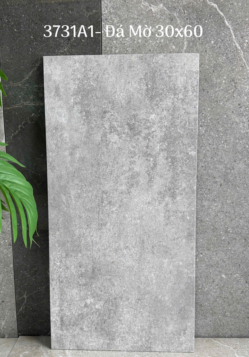 Gạch Ốp Lát Trung Quốc 30x60cm màu vân xi măng 3737A1