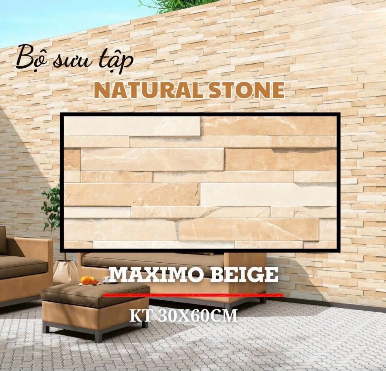 Gạch ốp tường giả đá 30x60cm