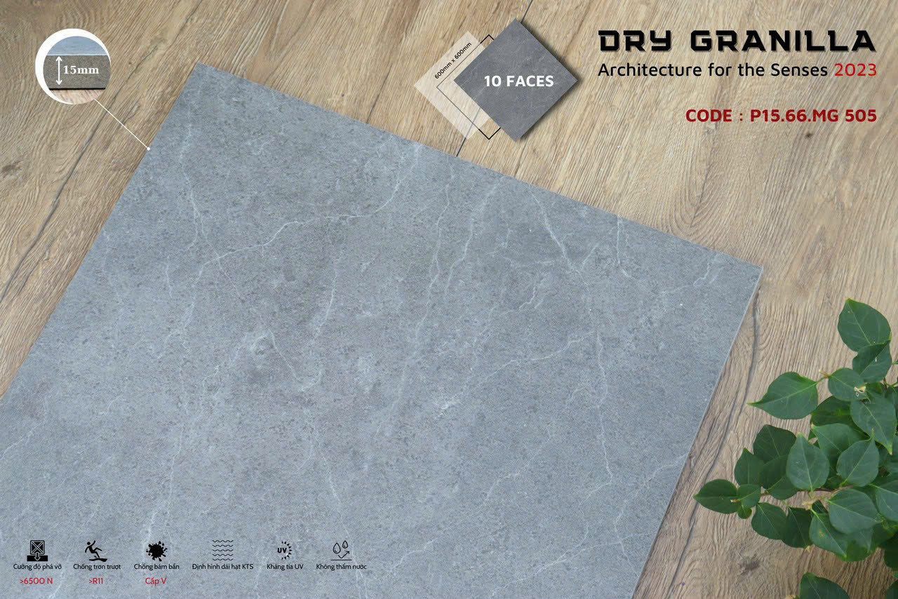 Gạch ốp lát Apodio CLASSICO P1566MG505 (Mờ) (15mm)