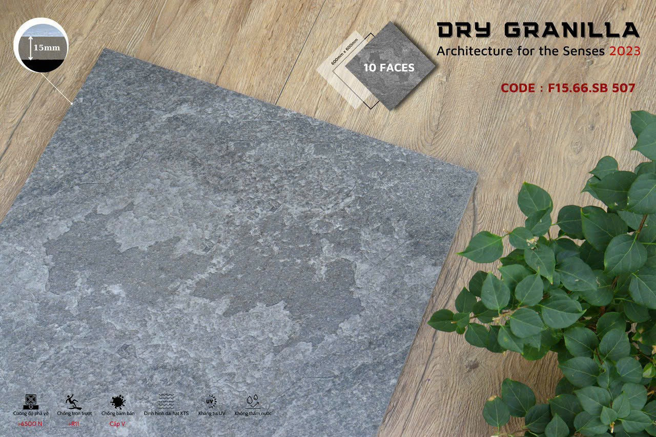 Gạch ốp lát Apodio CLASSICO F1566SB507 (Mờ) (15mm)
