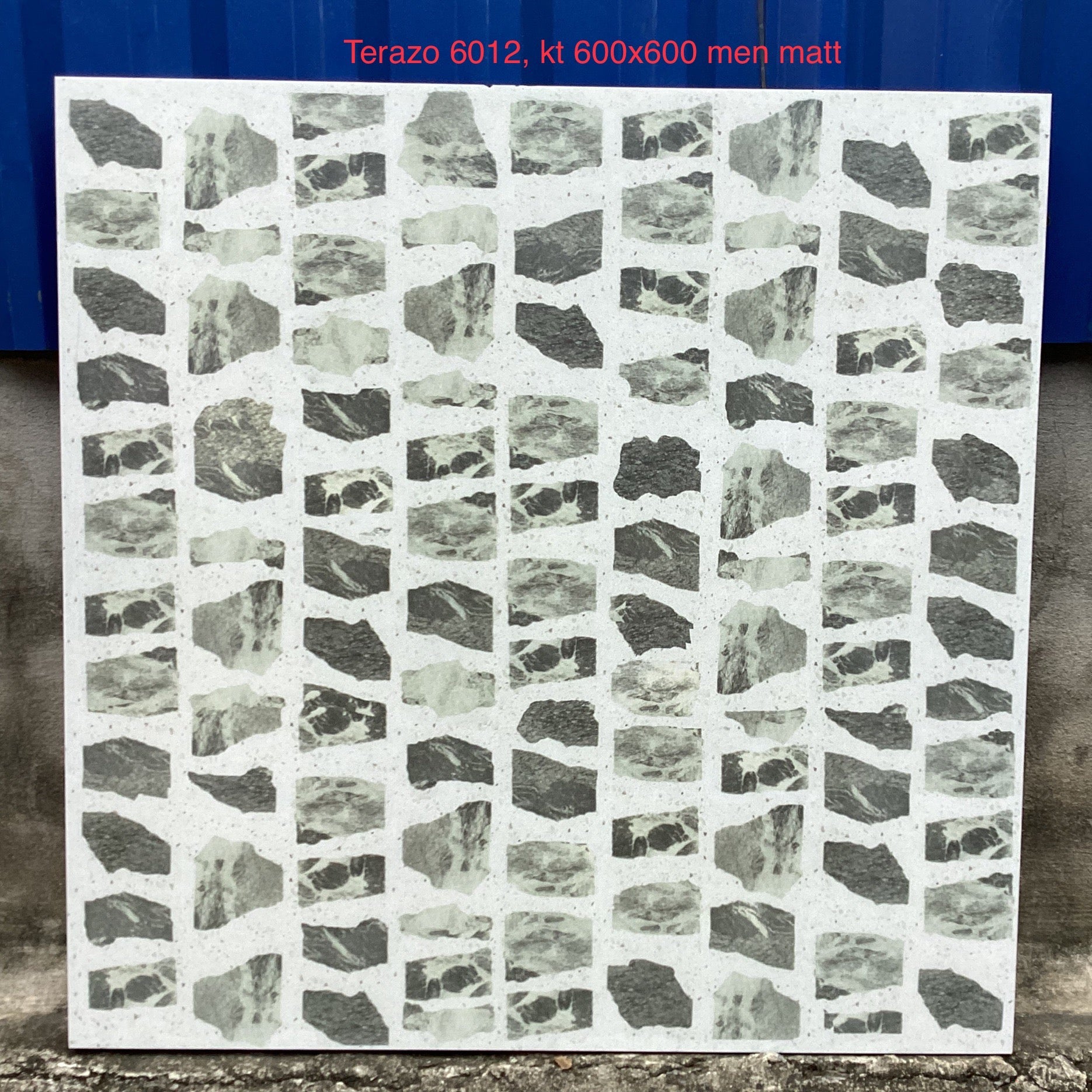 Gạch Terazo KT 600x600mm men matt mã 6012 (WH602)