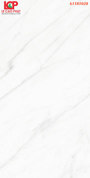 Gạch ốp lát Apodio 61181028