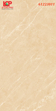 Gạch ốp lát Apodio  61223011