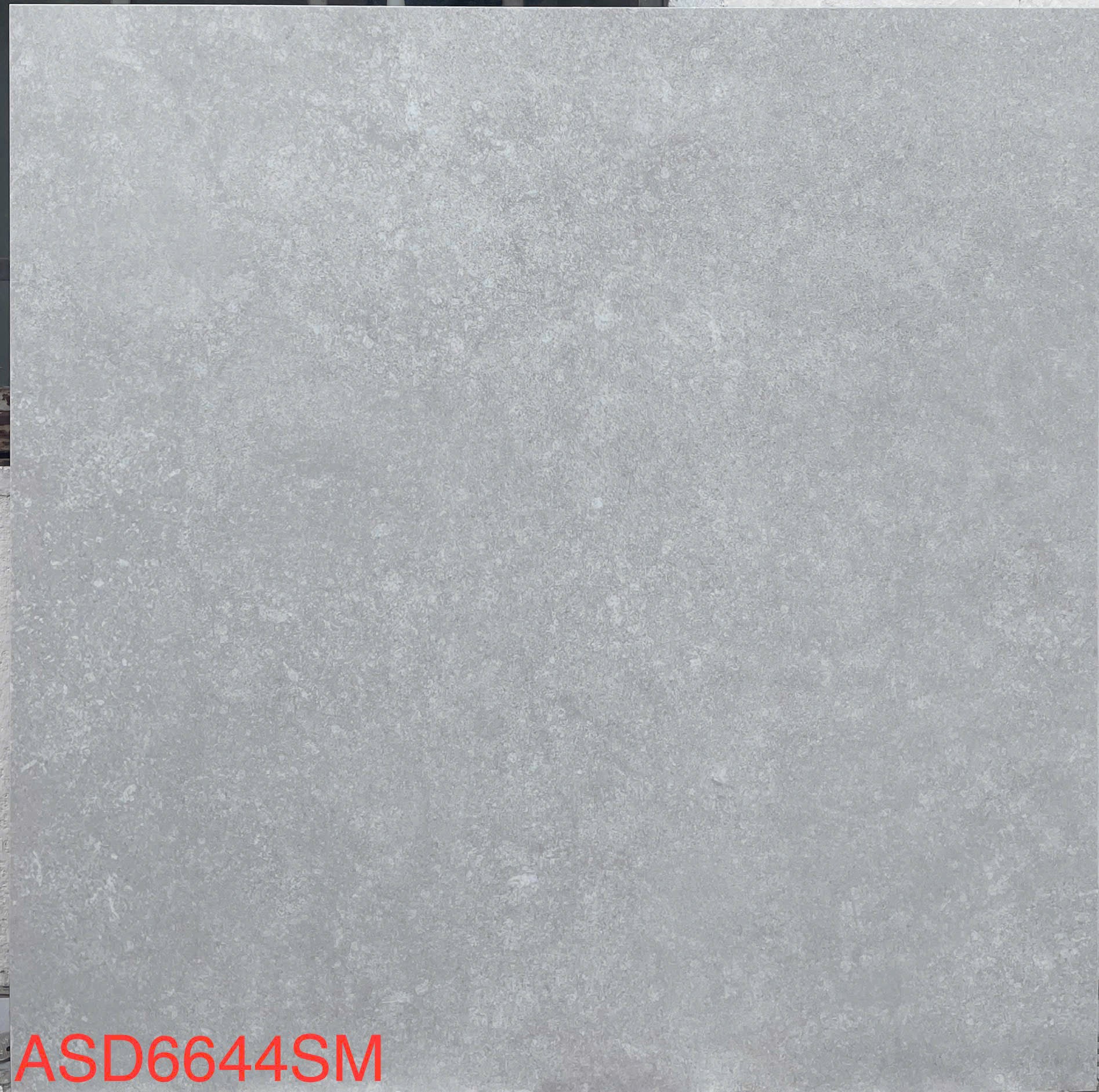 Gạch ốp lát 60x60 mã 6644SM