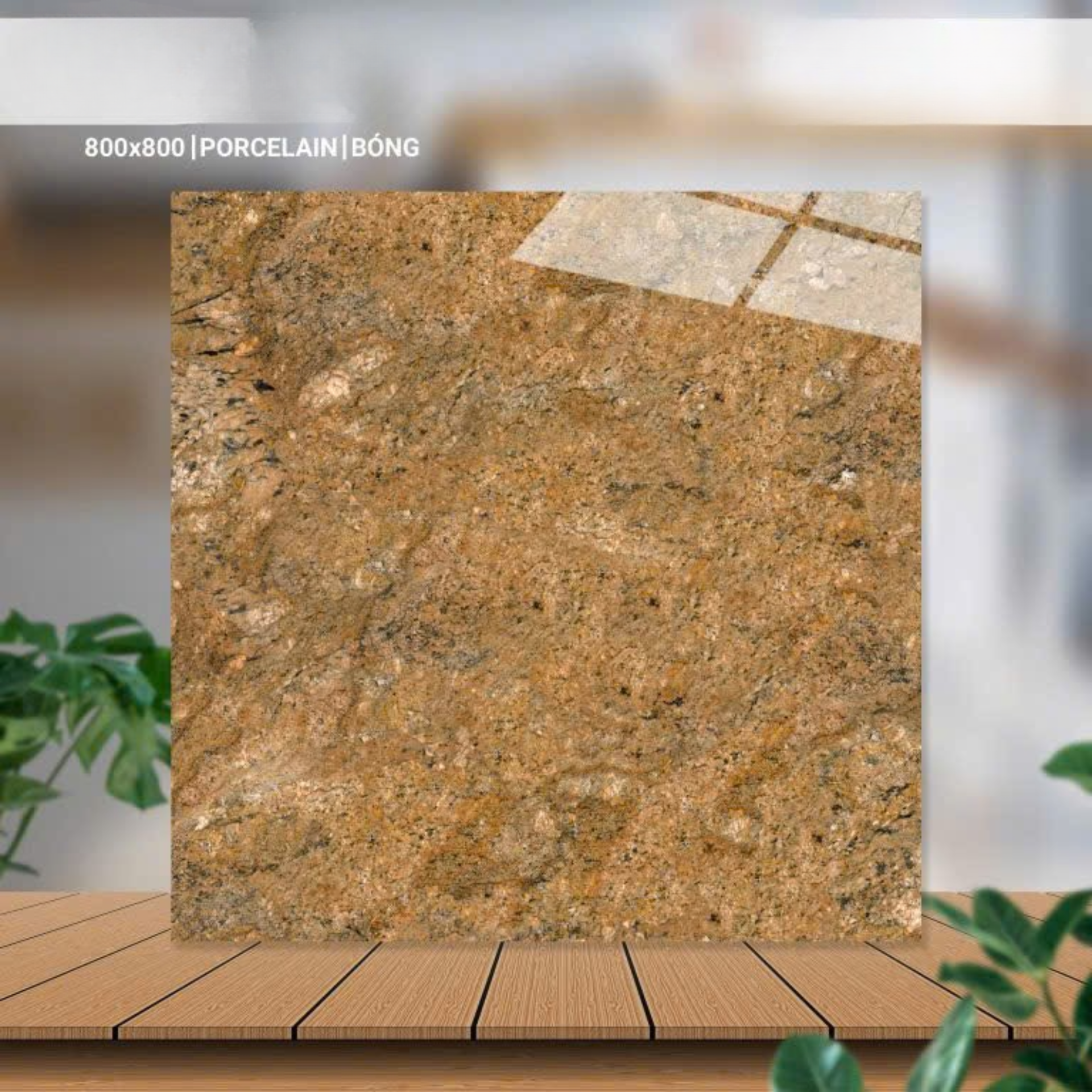 Gach Op Lat 800x800mm Ma 80082 Catalan Titan Porcelain