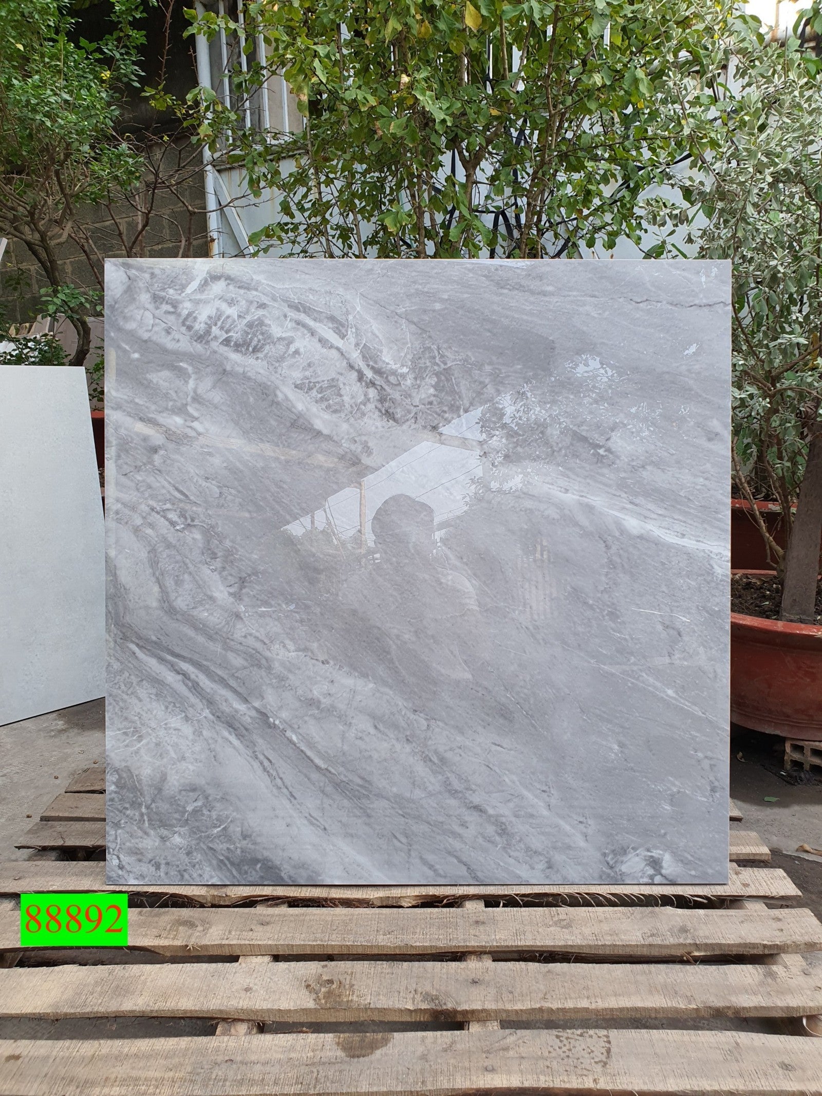 Gạch ốp lát Apodio MARVEL 88892