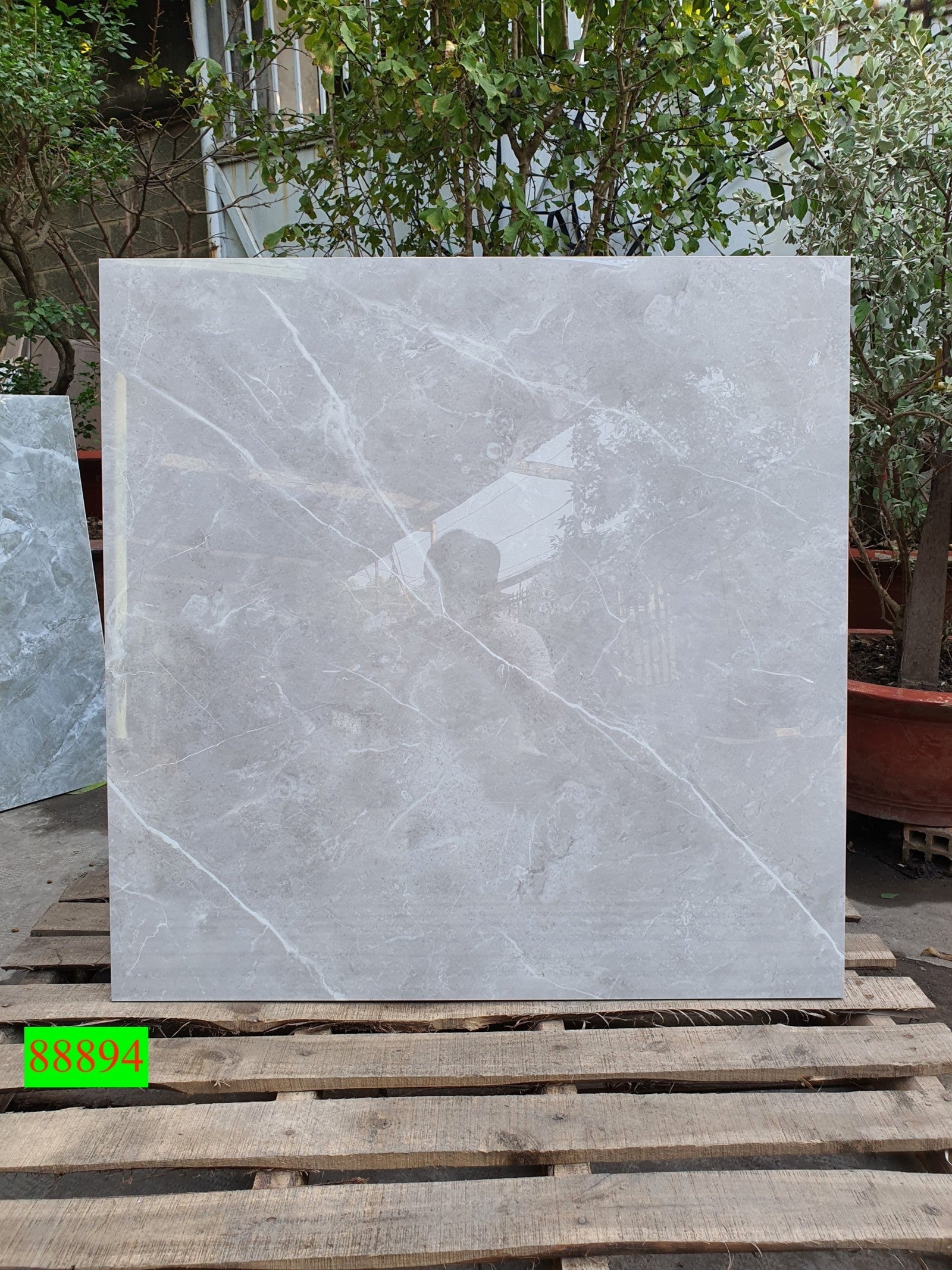 Gạch ốp lát Apodio MARVEL 88894