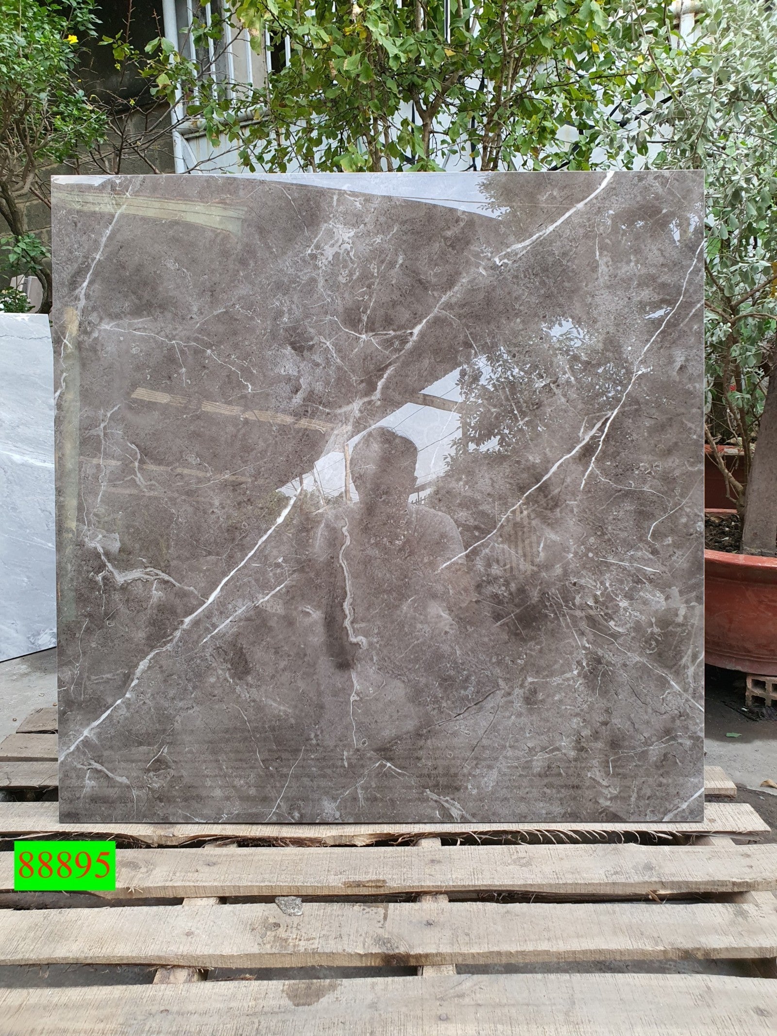 Gạch ốp lát Apodio MARVEL 88895