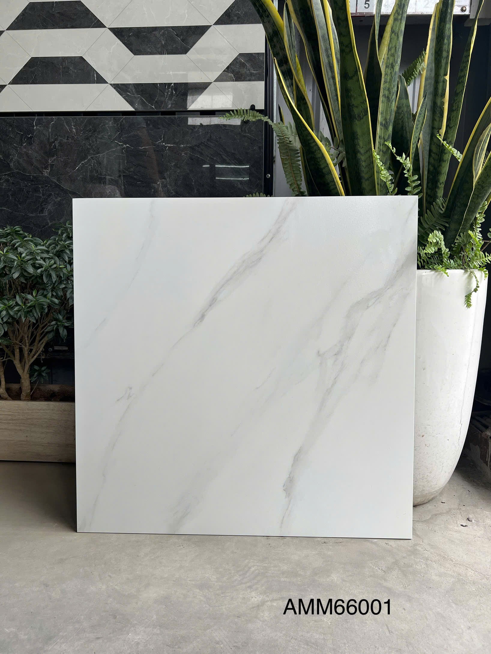Gạch Lát Nền Grand Ceramic 60×60 AMM66001