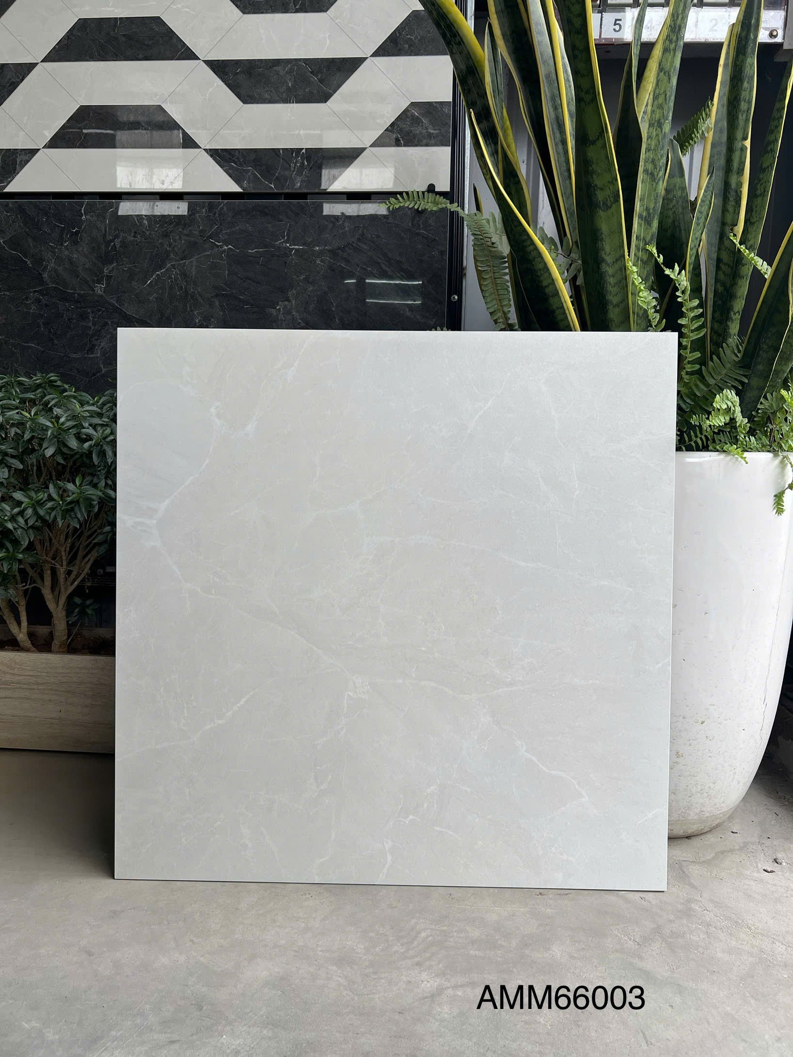 Gạch Lát Nền Grand Ceramic 60×60 AMM66003