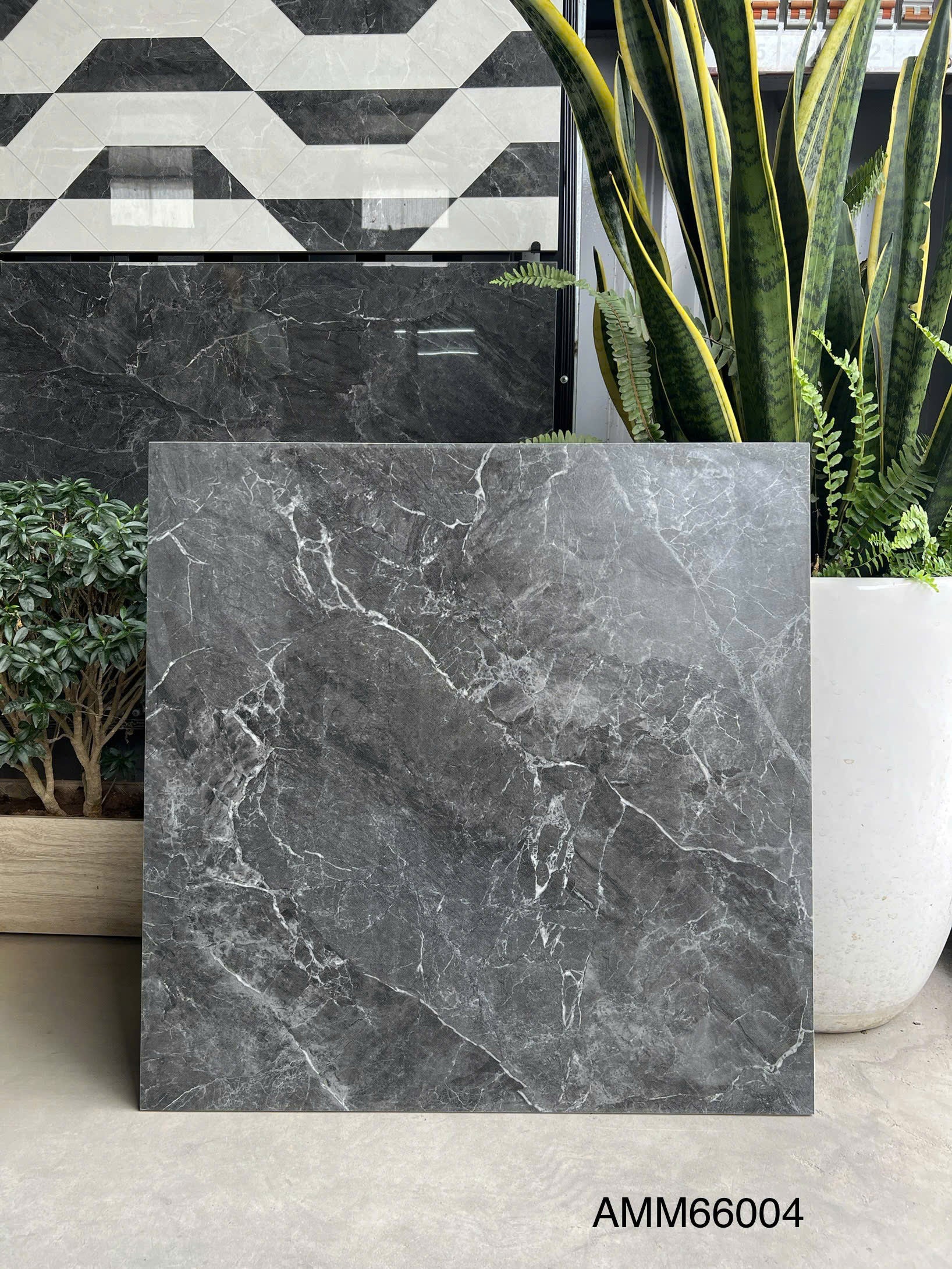 Gạch Lát Nền Grand Ceramic 60×60 AMM66004