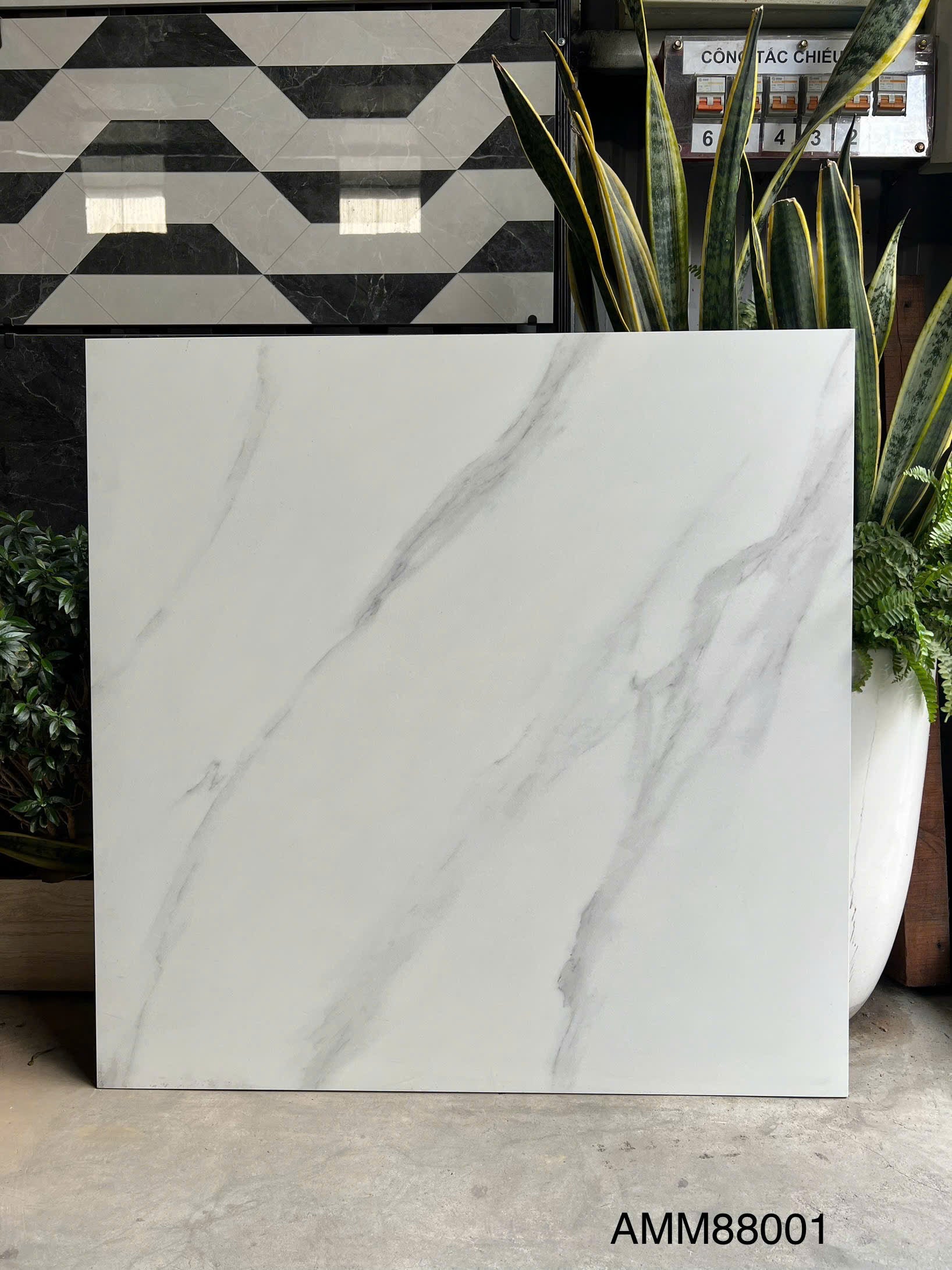 Gạch Men Mờ KT 800x800 AMM88001
