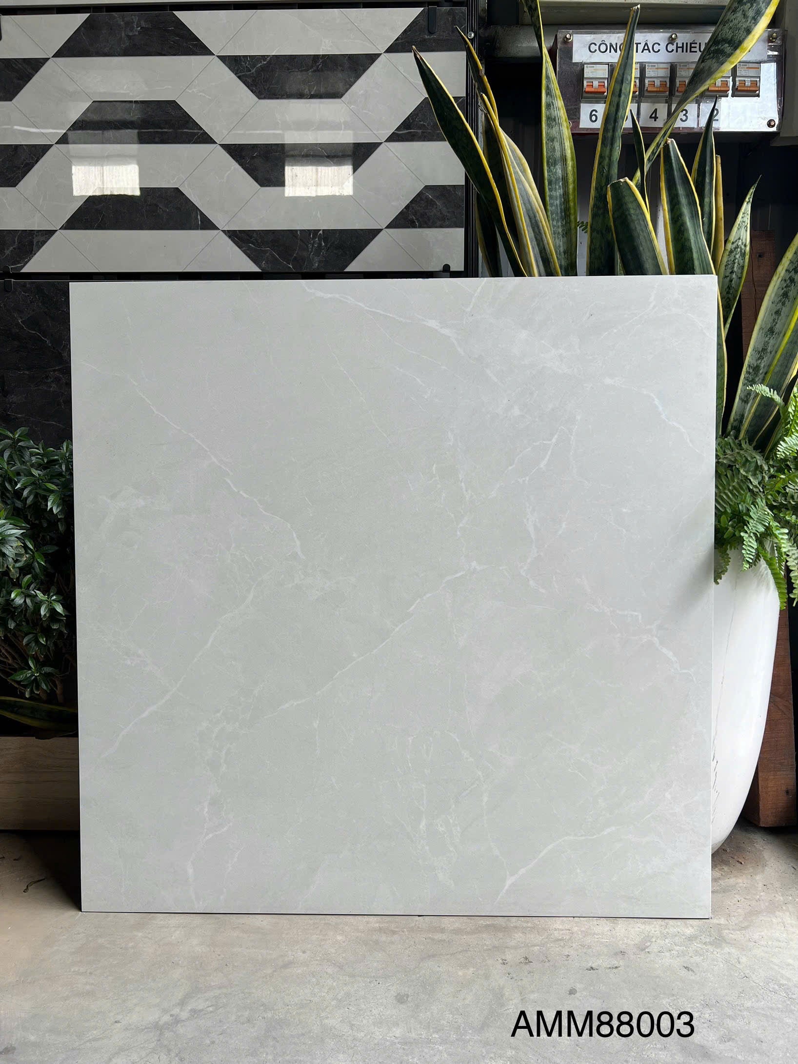 Gạch Men Mờ KT 800x800 AMM88003